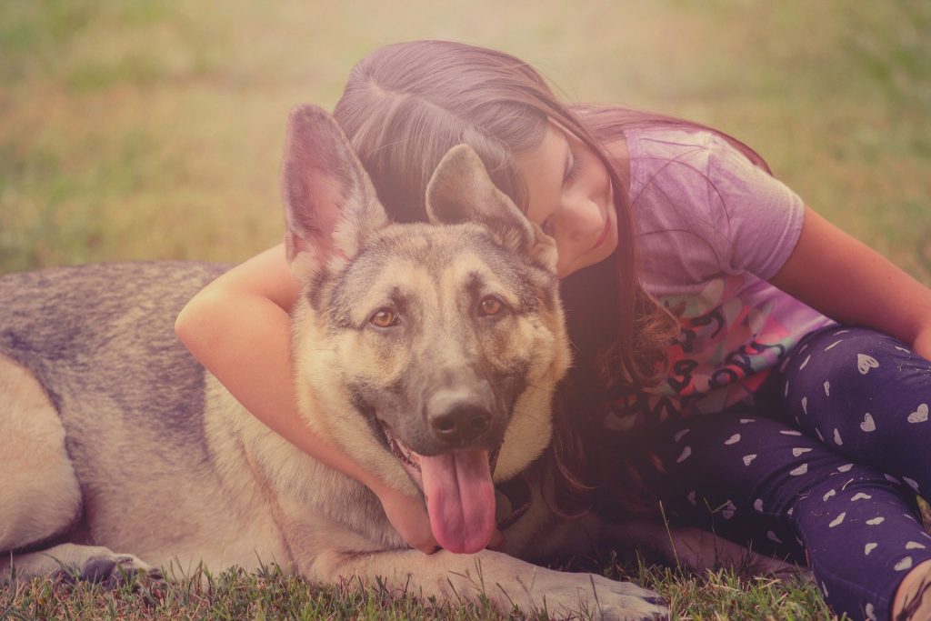 german shepard and children