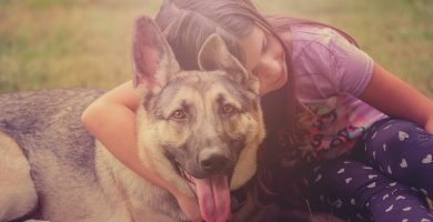 german shepard and children