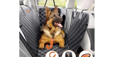 protector asiento perro