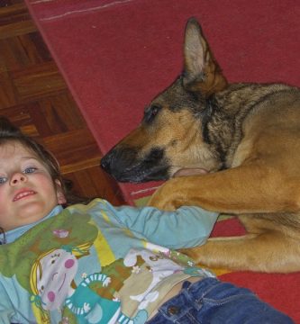 los niños y el perro pastor aleman