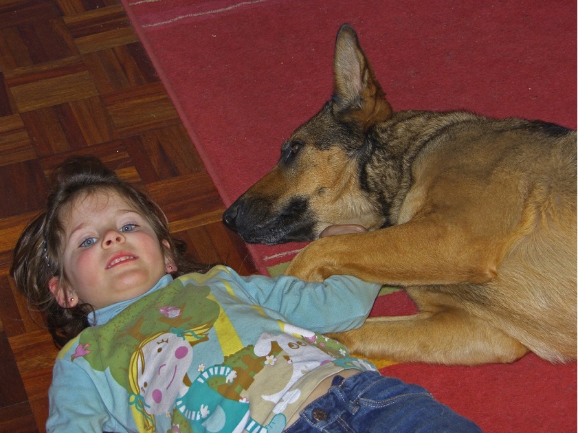 los niños y el perro pastor aleman