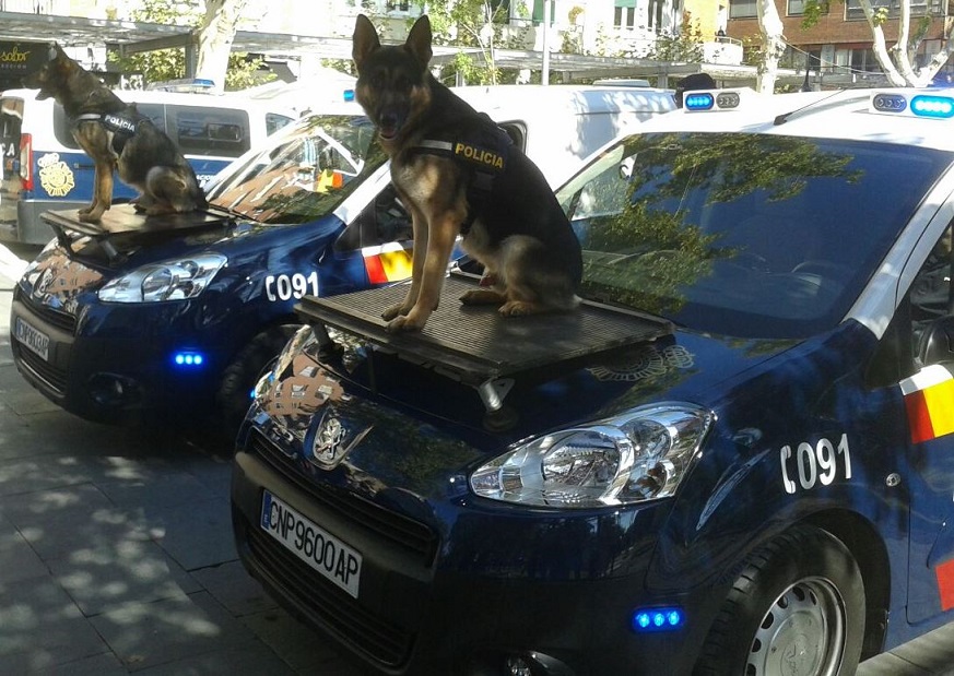 pastor aleman como perro guarda